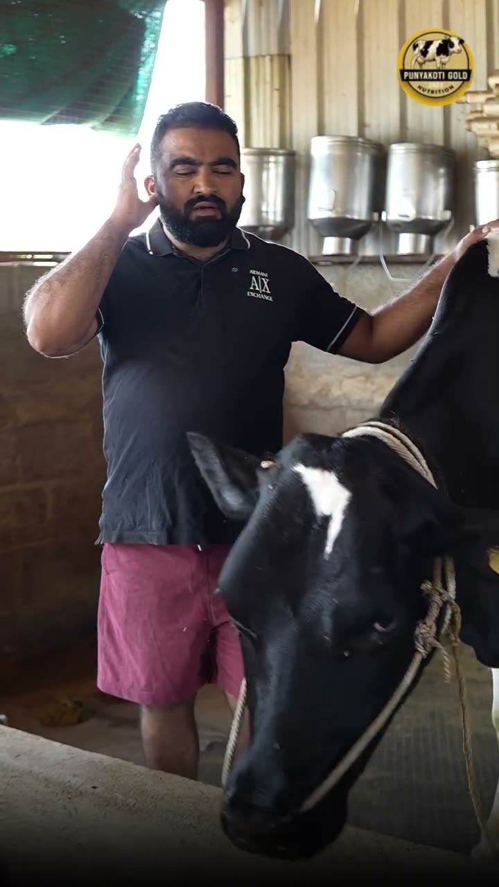 Cattle Care Tips — Agri Wellness